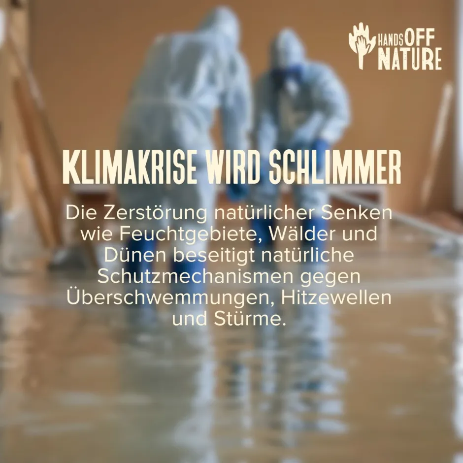 Klimakrise wird schlimmer. Die Zerstörung natürlicher Senken wie Feuchtgebiete, Wälder und Dünen beseitigt natürliche Schutzmechanismen gegen Überschwemmungen, Hitzewellen und Stürme.